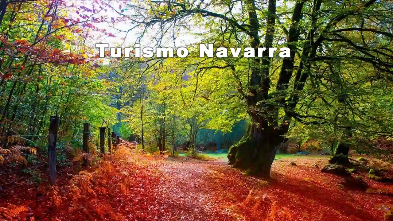 Actividades Turismo Navarra