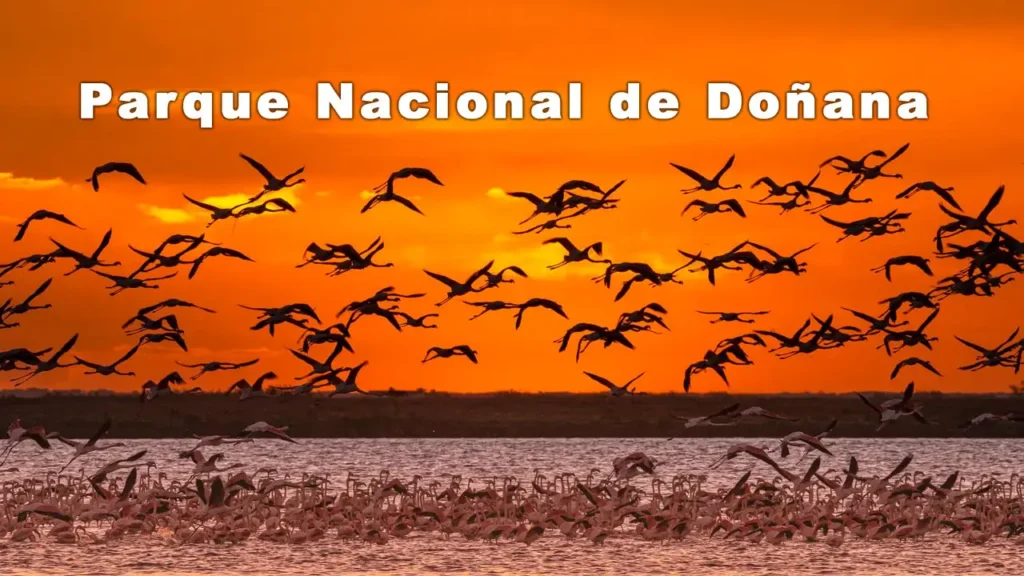Parque Nacional de Doñana
