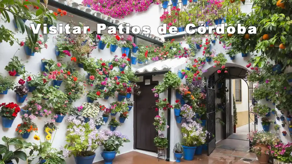 Visitar Patios de Córdoba