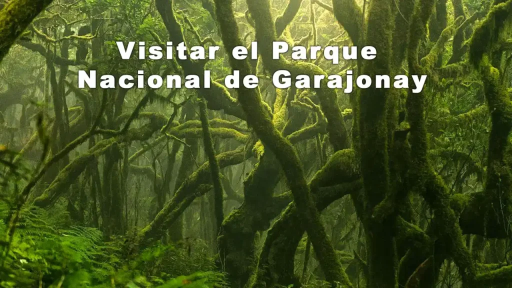 Visitar el Parque Nacional de Garajonay